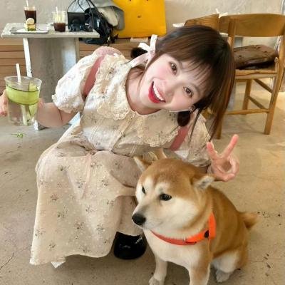 小猫钓鱼